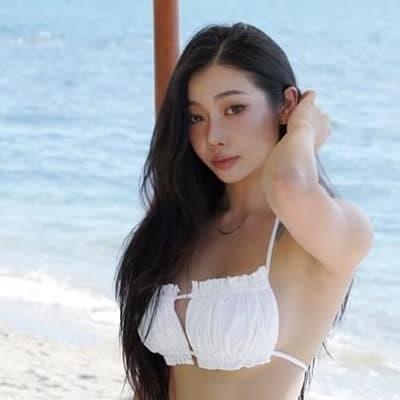 은꼴