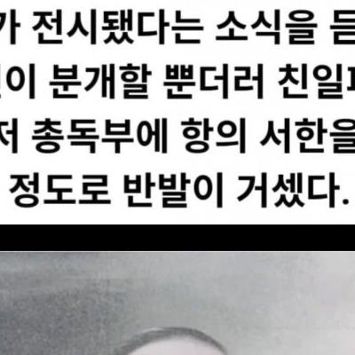 동아시아를 달궜던 인류관 사건