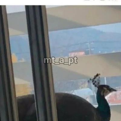 자취방 문을 꼭 닫아야하는 이유.jpg