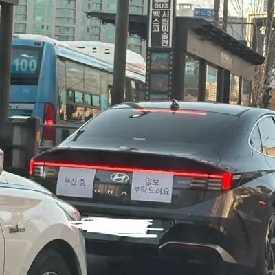 부산에 놀러간 초보운전자.jpg
