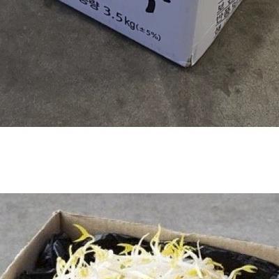 숙주나물에 한 맺힌 거 같이 먹은 이
