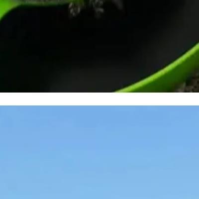 팀원이 된 고영이.jpg