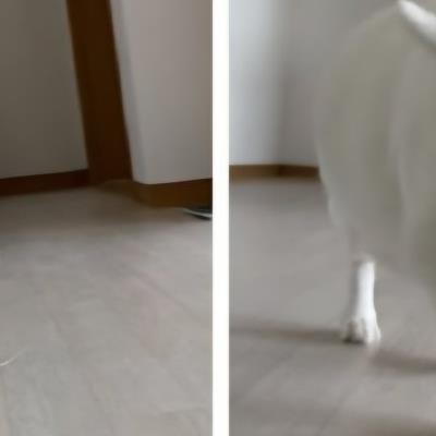 머리가 만져질것을 기대하면 걸어오는
