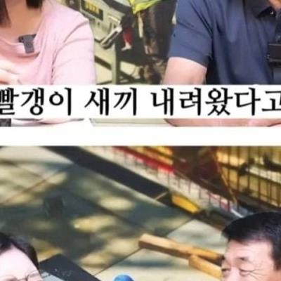 탈북자가 한국오고 가장 많이 했다는 거짓말