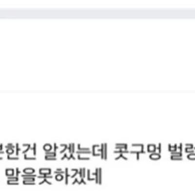 말싸움 할 때 상대가 개부들댈만한 욕 없나