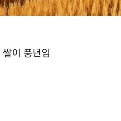 쌀값 폭등 문제가 해결된(?) 일본 근황