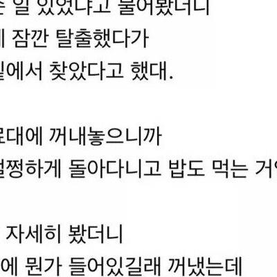 식음을 전폐했던 햄스터.jpg
