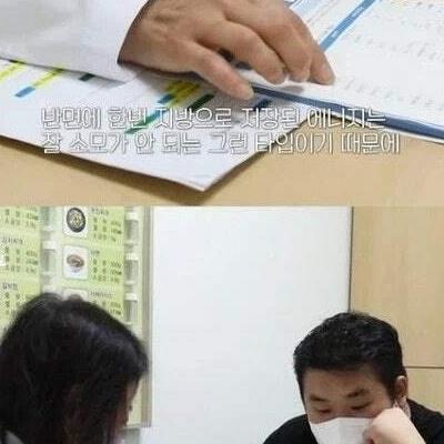 비만유전자 오열