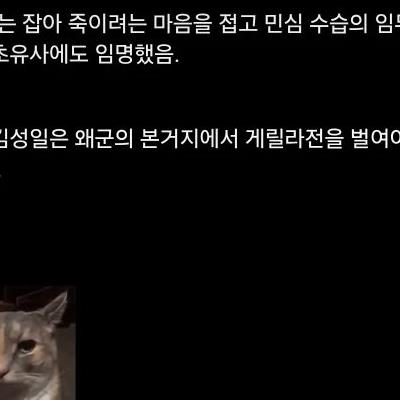 결정적 실수를 저질렀으나 일은 잘한 선비.jpg