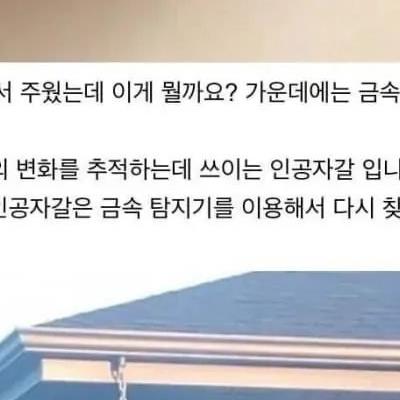 서양의 신기한 지식인 문답
