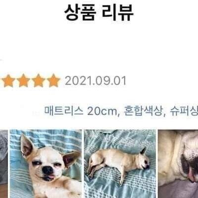 신뢰가 가는 매트리스 리뷰　사진