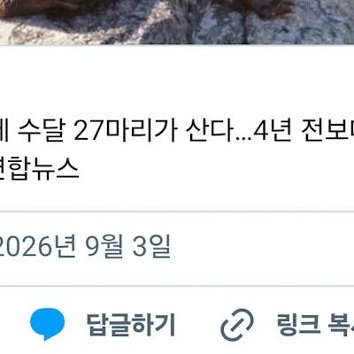 서울 한강에 수달 27마리가 산다…4년 전보다 2배 가까이 늘어.jpg