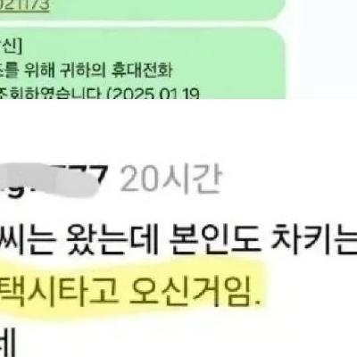 불법 주정차 위반한 싼타페 최후