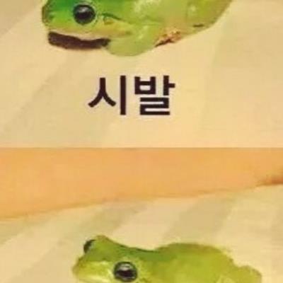 참으로  이상한 나라일세.