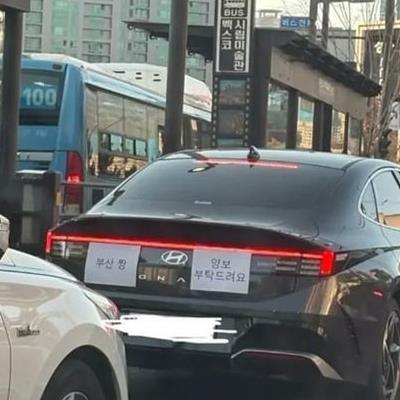 귀여워서 양보해줄듯