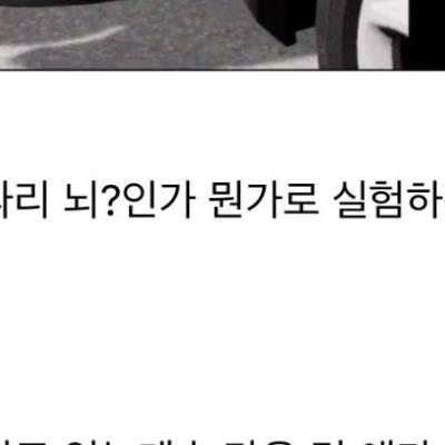 초파리 운전시험