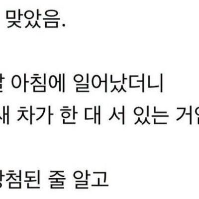 새 차인줄 알았는데