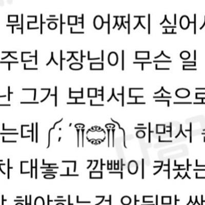 경찰 추격당할 위기에 도넛 사러간 여성.jpg