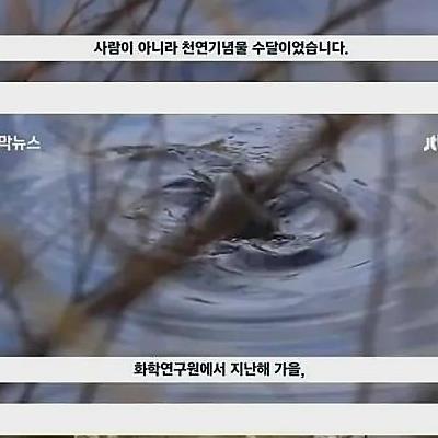 잉어 5천만원어치 훔쳐간 범인을 처벌못함.jpg