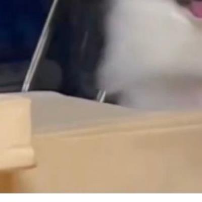 사랑이 시작된 순간.jpg