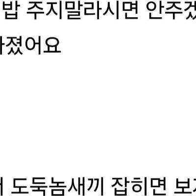 와이프 회사에서 재밌는 일이 있었네요 (고양이와 개)