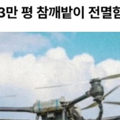 AI 믿고 농사 맡겼다가 벌어진 일