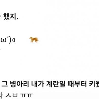 주인이랑 잘 놀아주는 GPT-6