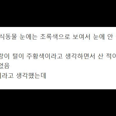 갑자기 발생한 호랑이털 노란색 vs 주황색 논란