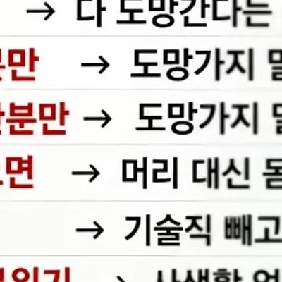 채용롱고 해석