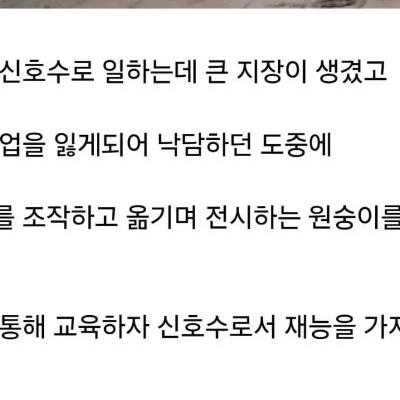 너무 똑똑해서 취업한 원숭이.jpg