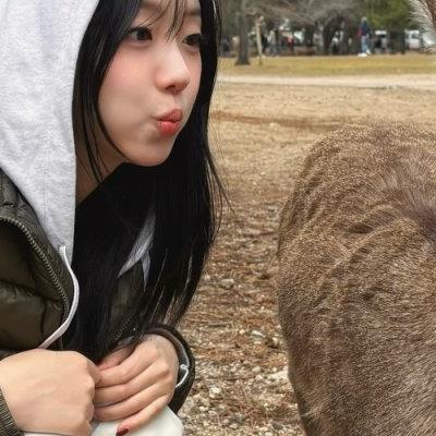 펭귄 남극마을 야식 금지령.manhwa