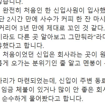 (펌) 입사 2시간 만에 퇴사 권유한 사수 vs 회식자리에서 그거 다 말한 신입, 누구 잘못인가요?
