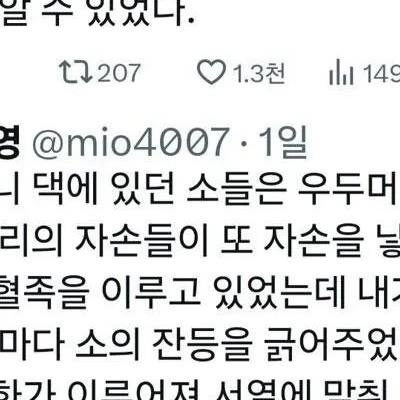 소는 생각보다 지능이 높다
