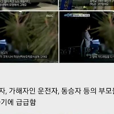 대전 머스탱 사망사고 결과