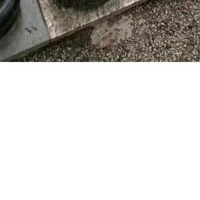'자네만이 왕의 죽음을 감출 수 있네'