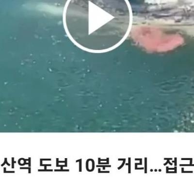 부산 [부캉이] 관광객을 위해 '장기자랑'