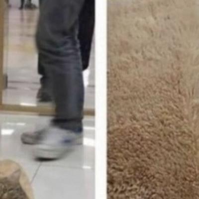 동물병원에 고양이 찾으러갔는데