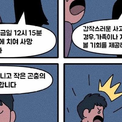 당신은 죽었습니다. 벌레로 변해 마지막으로 누군가에게 인사할 시간을 드립
