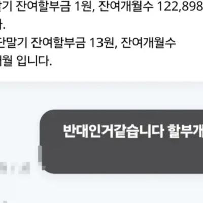엘프한테 할부로 폰 산 사람