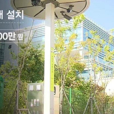 멀티탭이 20만원? 조달청의 물건값